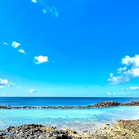 Verano Infinito *
